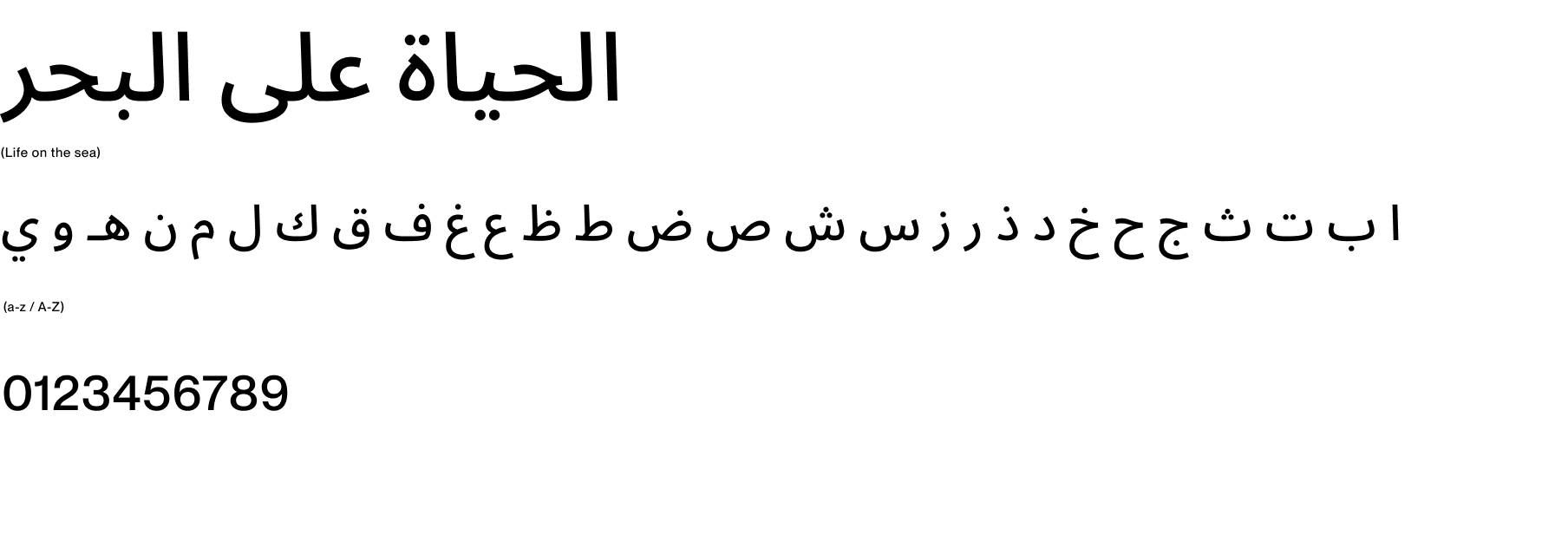 2.11 FU_ARABIC FONT